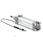 Pneumatic cylinder 