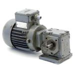 Gear motor 