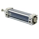 Pneumatic cylinder 