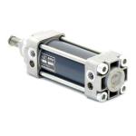 Pneumatic cylinder 