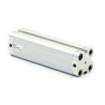 Pneumatic cylinder 