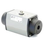 Pneumatic actuator 