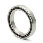 Angular Ball Bearing 