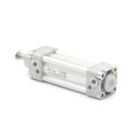 Pneumatic cylinder 