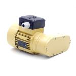 Gear motor 