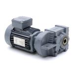 Gear motor FA27DT80K2 