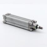 Pneumatic cylinder 