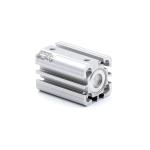 Pneumatic cylinder 0822391002 