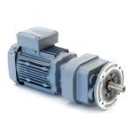 Gear motor RF27 DRE80M4 