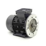 Three-phase motor IFCP 80-4 