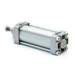 Pneumatic cylinder 