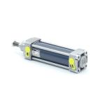 Pneumatic cylinder 