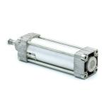 Pneumatic cylinder 