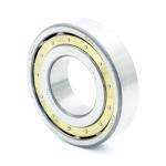 Roller bearing 