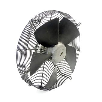 Fan 