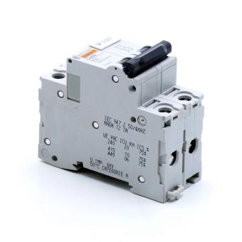 Circuit Breaker C60N D1A 