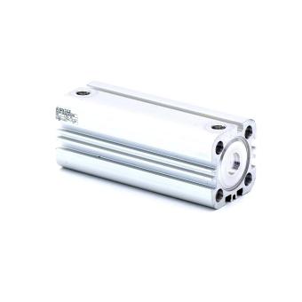 Pneumatic cylinder 0822393009 