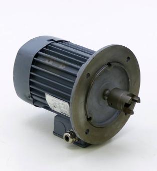 Three-phase Motor 