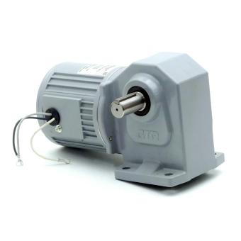 Induction Motor 