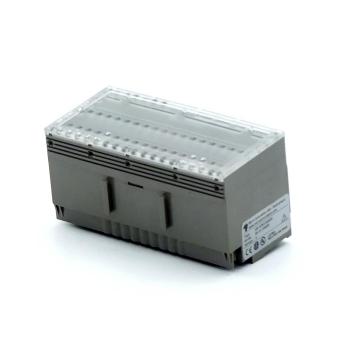 Input module DP-1CNT/24V 