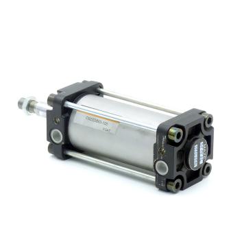 Pneumatic cylinder 