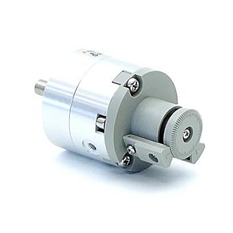 Pneumatic rotary actuator 