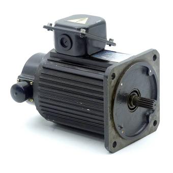 3 Phase Induktion Motor 