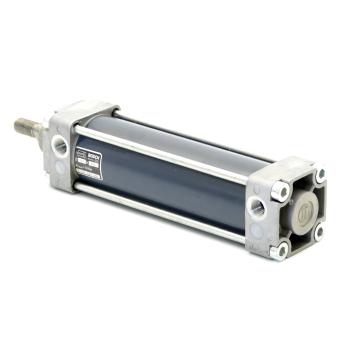 Pneumatic cylinder 