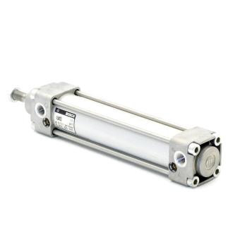 Pneumatic cylinder 