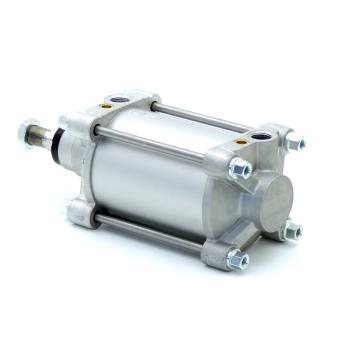 Pneumatic cylinder 