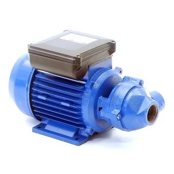 Rotary pump 