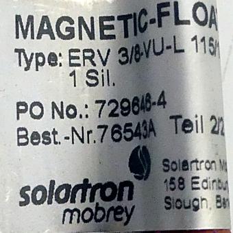 Magnetic float switch 