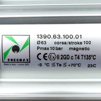 Pneumatic cylinder 1390.63.100.01 