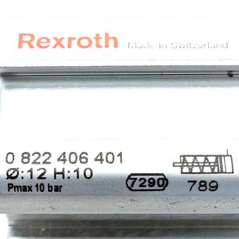 Pneumatic cylinder 12 x 10 