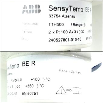 Temperature sensor SesnyTemp BE R 