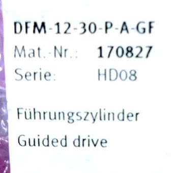 Führungszylinder DFM-12-30-P-A-GF 