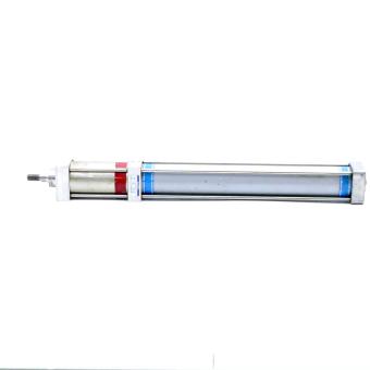 Pneumatic Cylinder 10 095 