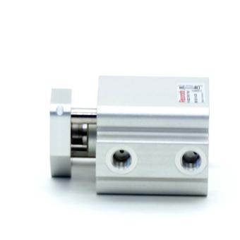 Pneumatic cylinder 