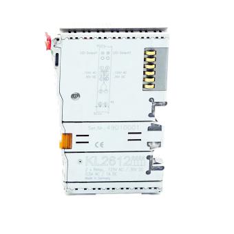 2-Channel relay output terminal 