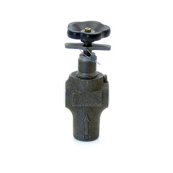 Safety valve 