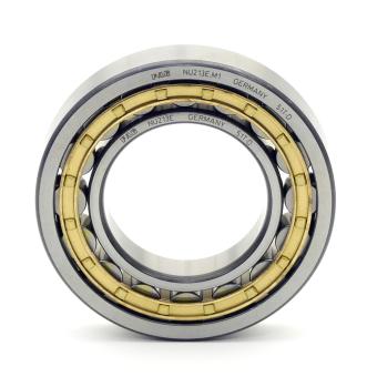 Cylindrical Roller Bearing 