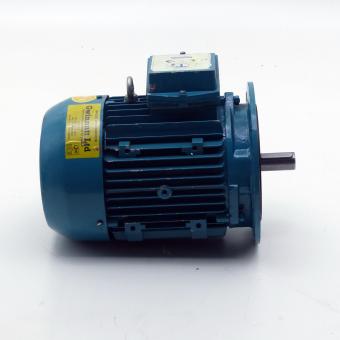 Three-phase Motor 