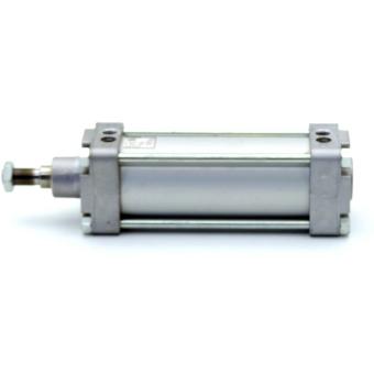 Pneumatic cylinder 