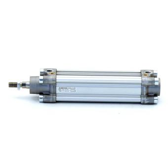 Pneumatic cylinder 