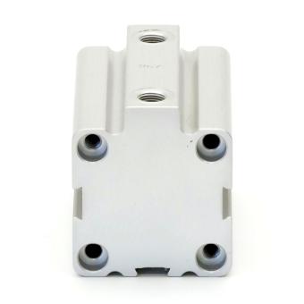 Pneumatic cylinder 