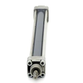 Pneumatic cylinder 