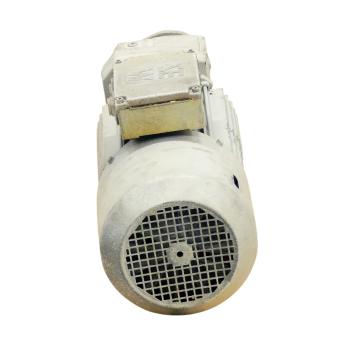 Gear motor RF37DV100L12/2/BMG 