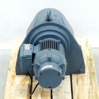 Gear motor 