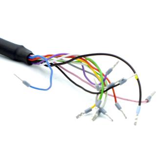 12-pin cable 