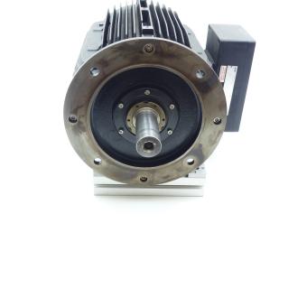 Three-phase Motor DH18-250-4-100 